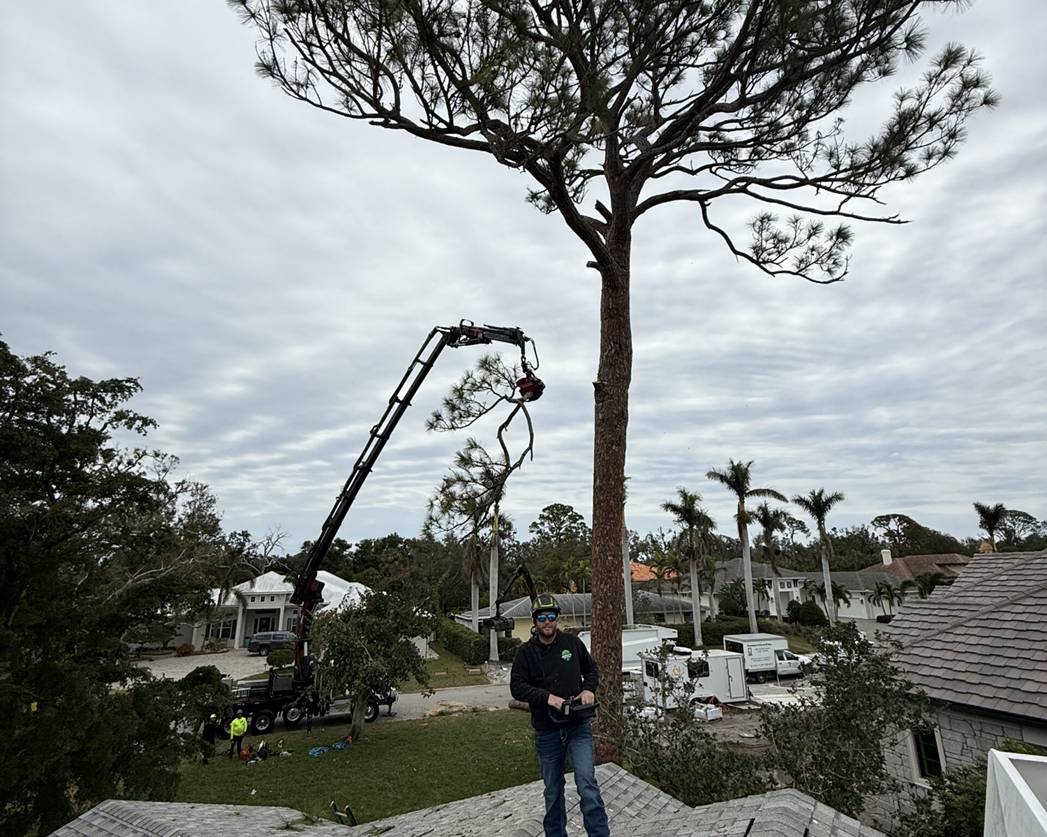 Owner of Harley's Tree Service on a room with a crane in the background